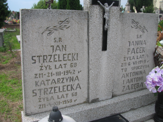 Jan Pacek Skaryszew - Grobonet - Wyszukiwarka osób pochowanych