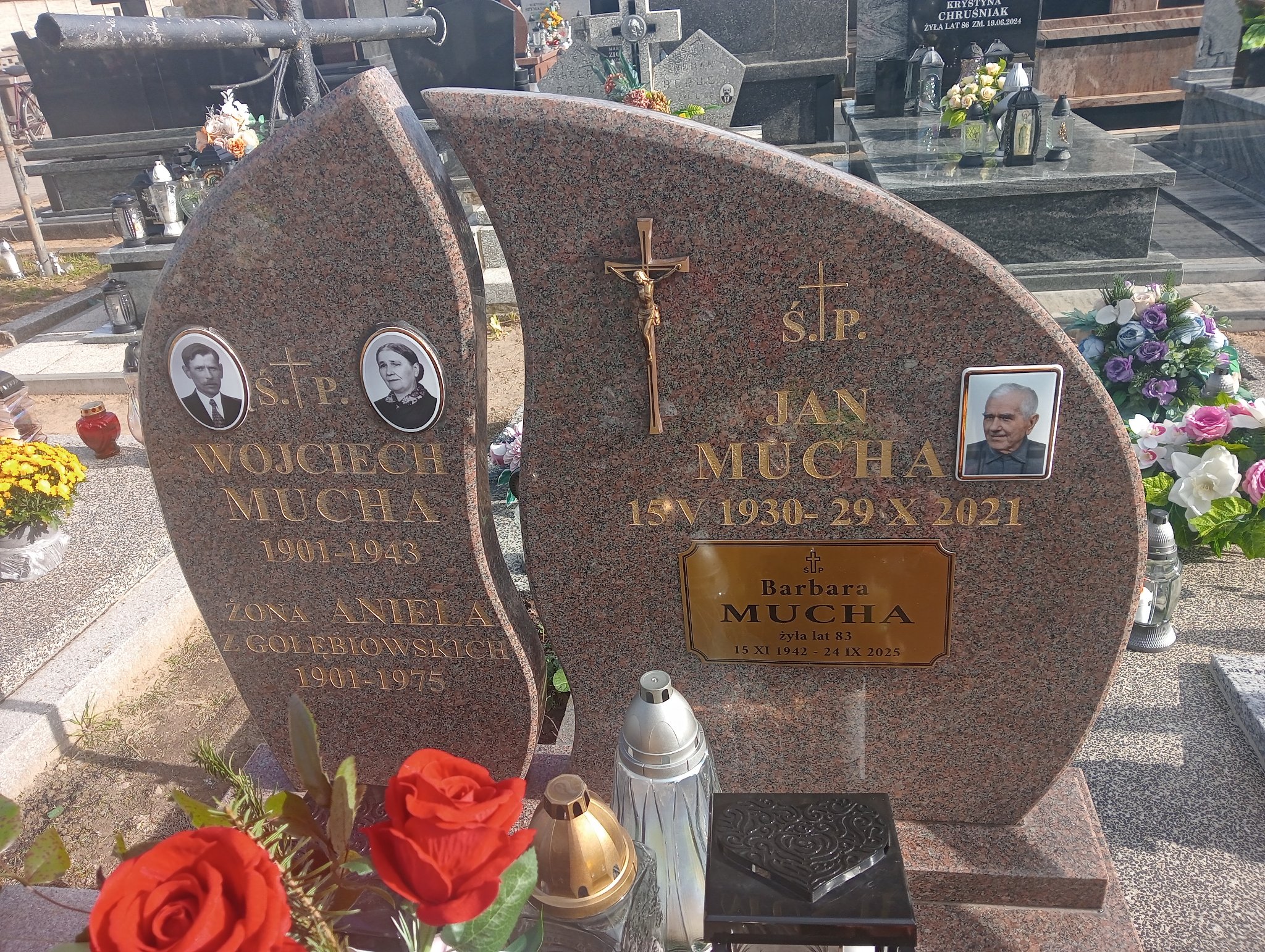 Wojciech Mucha 1900 Skaryszew - Grobonet - Wyszukiwarka osób pochowanych