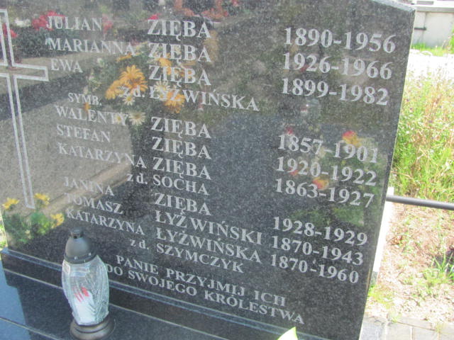 Tomasz Łyżwiński 1869 Skaryszew - Grobonet - Wyszukiwarka osób pochowanych